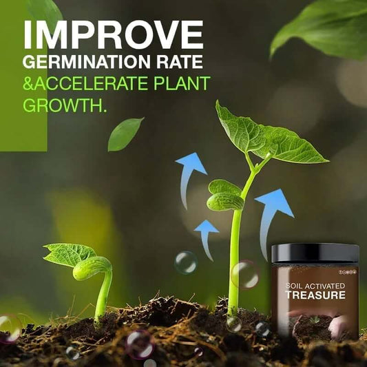 Soil Treasure - Plant Productivity and Growth Increase